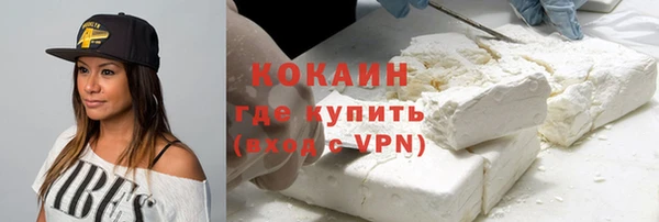 винт Абаза